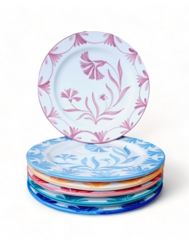Set of 6 colourful Ceramic Dinner plates