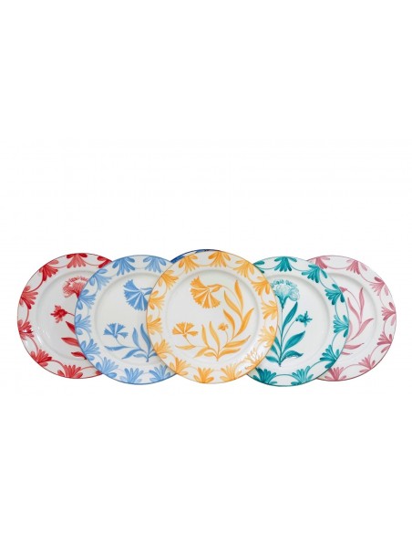 Set of 6 colourful Ceramic Dinner plates