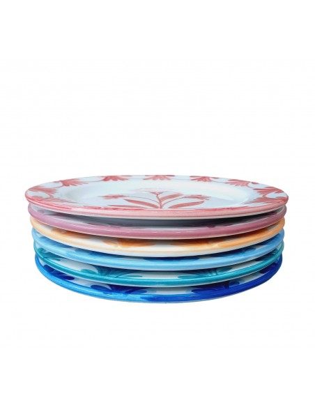 Set of 6 colourful Ceramic Dinner plates