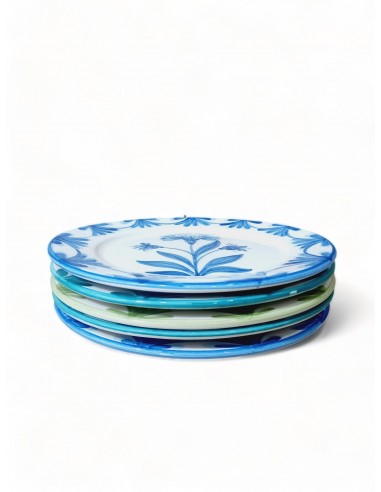 Set of 5 colourful Ceramic Salad plates