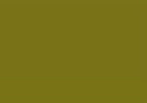 Olive green